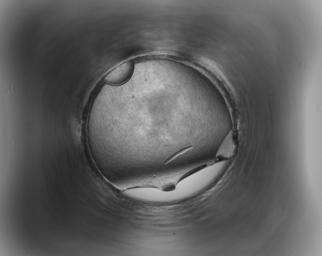 X0000088411260200706121408