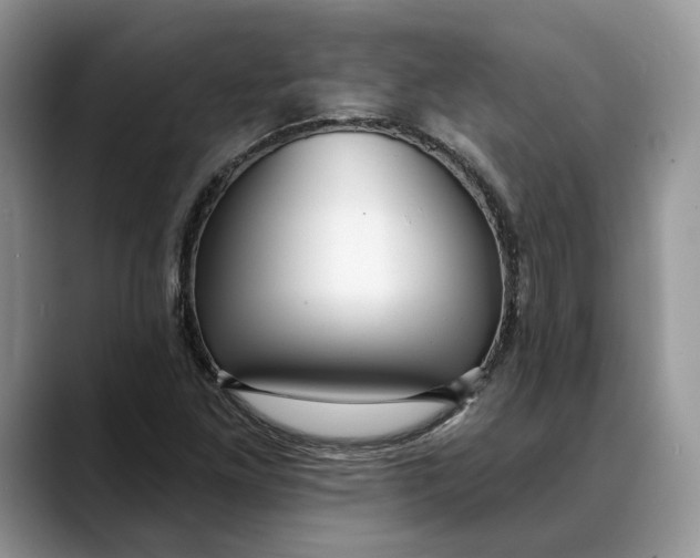 X0000088411261200706121408