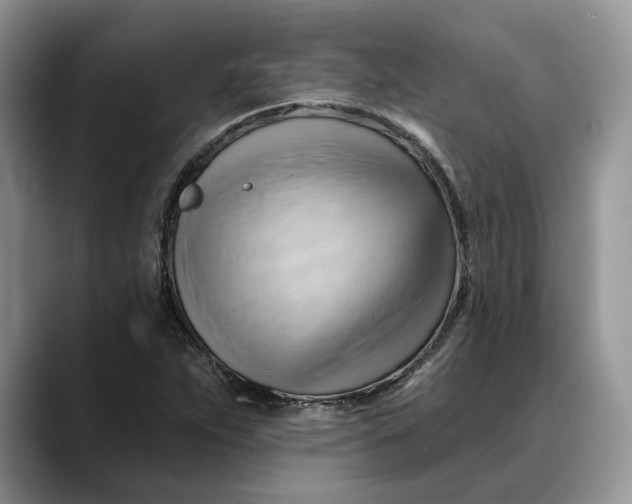 X0000088411263200706121408