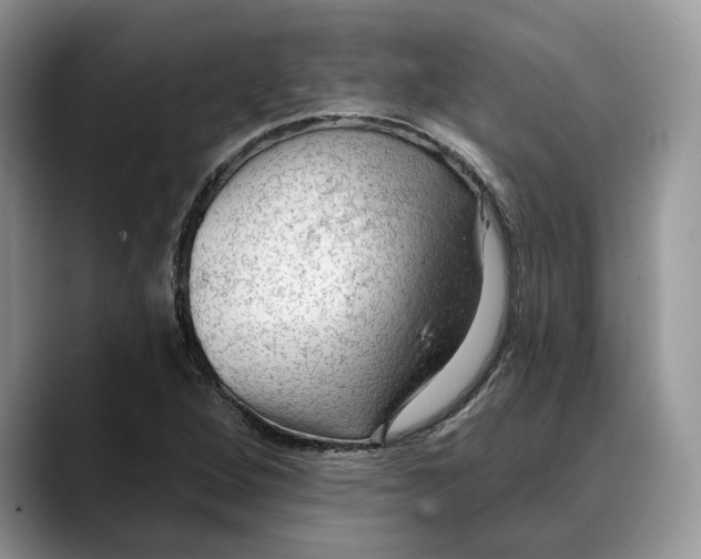 X0000088411264200706121408