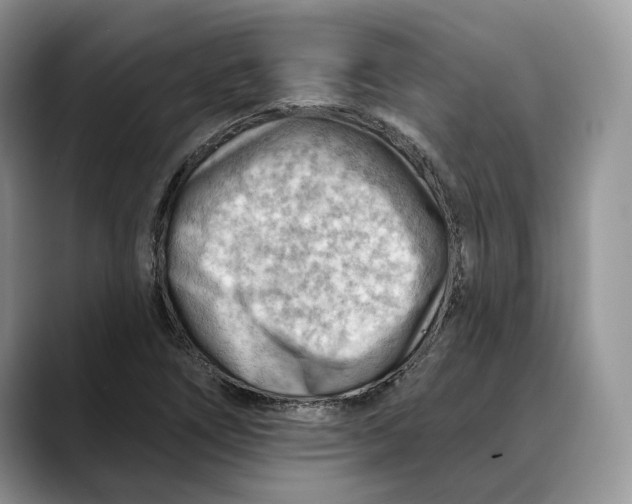 X0000088411266200706121408