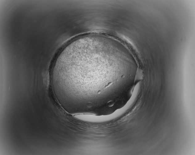 X0000088411267200706121408