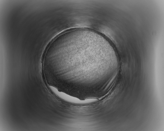 X0000088411268200706121408