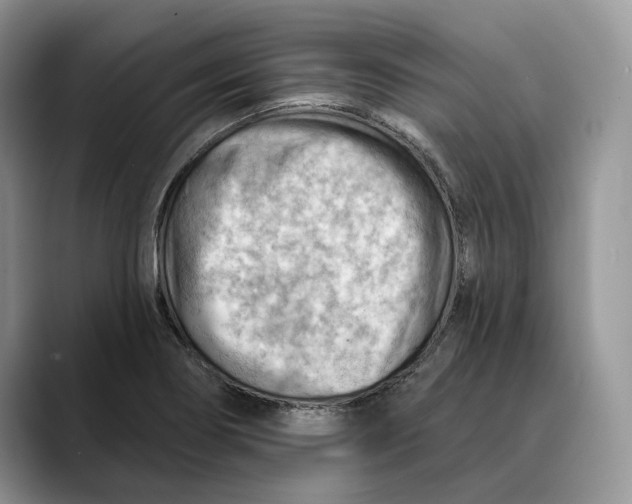 X0000088411274200706121408