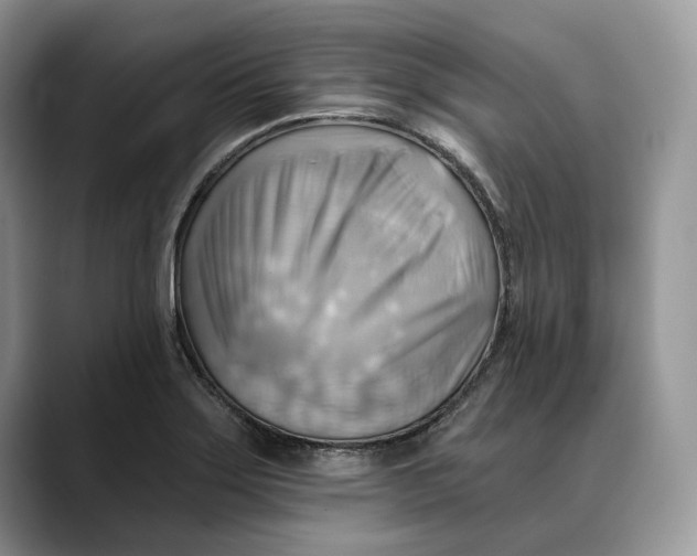 X0000088411275200706121408