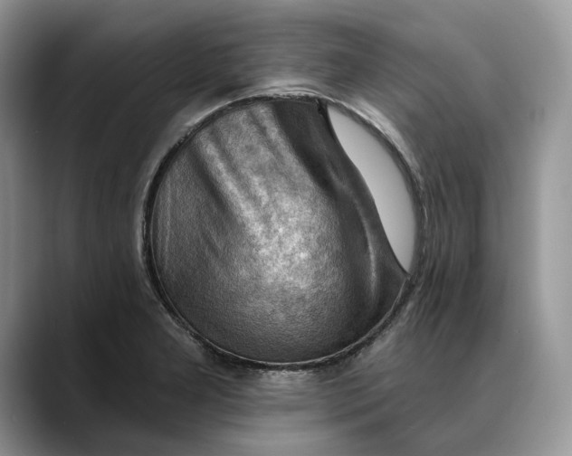 X0000088411277200706121408