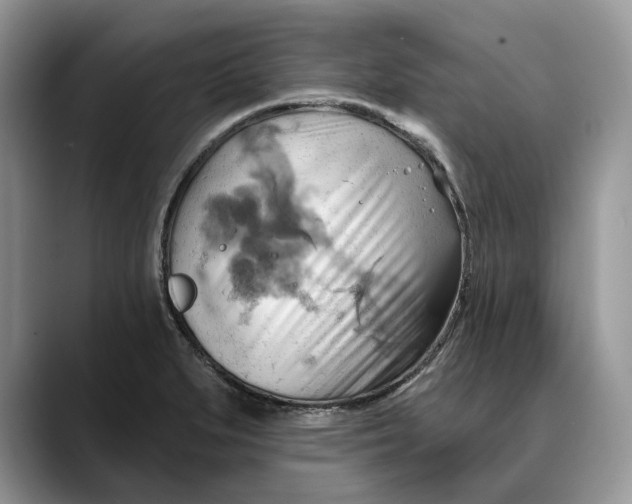 X0000088411279200706121408