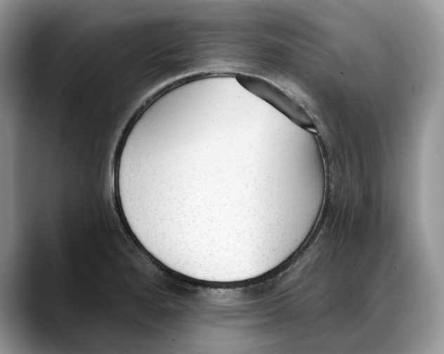 X0000088411280200706121408