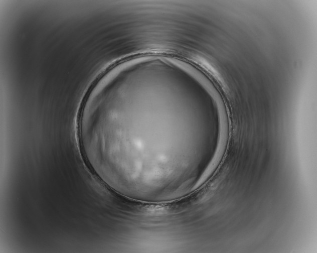 X0000088411283200706121408