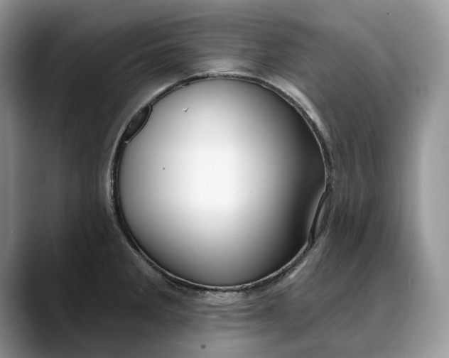 X0000088411285200706121408