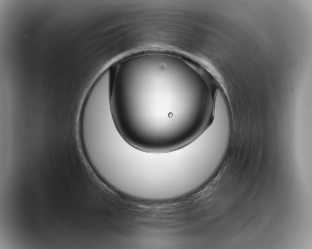 X0000088411287200706121408