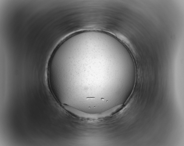 X0000088411288200706121408