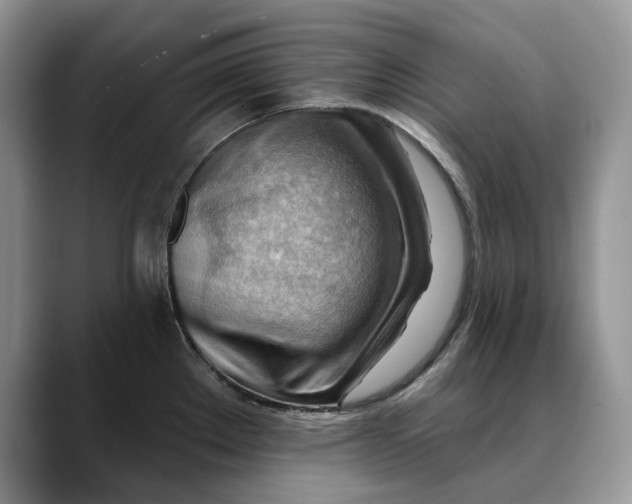 X0000088411289200706121408