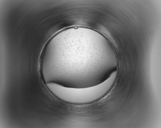 X0000088411292200706121408