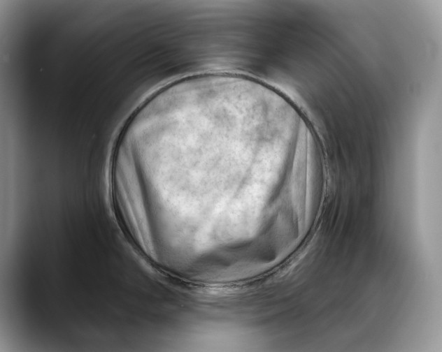 X0000088411294200706121407