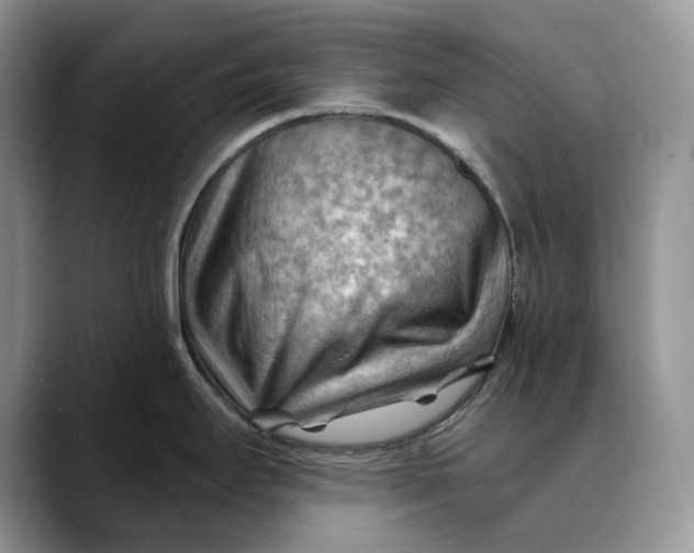 X0000088411295200706121407