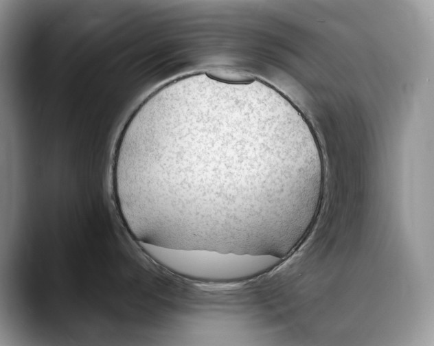 X0000088411296200706121407