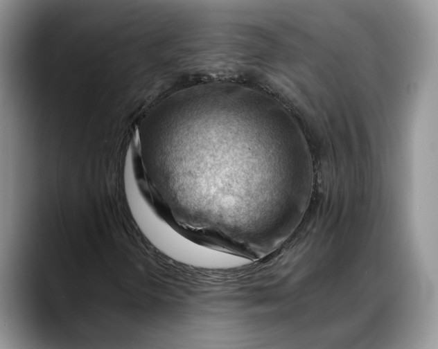 X0000088411298200706121407