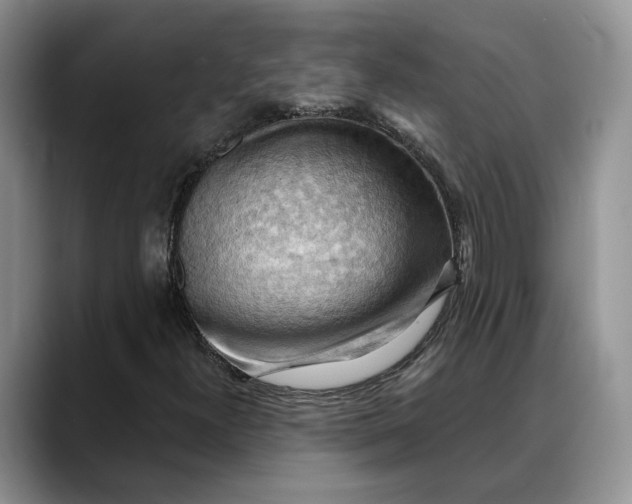 X0000088411300200706121407