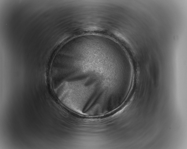 X0000088411305200706121407