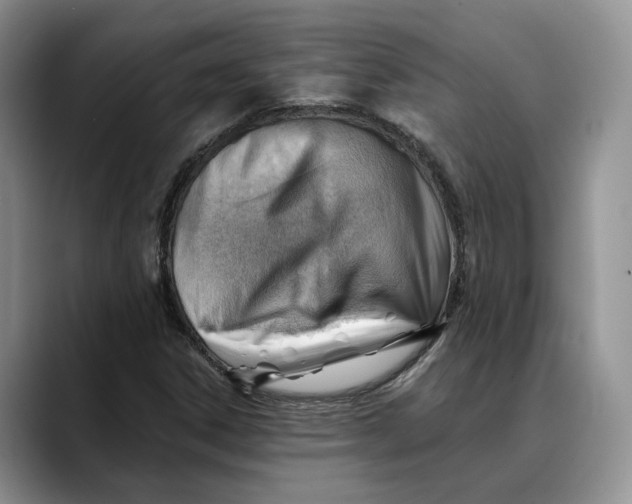 X0000088411306200706121407