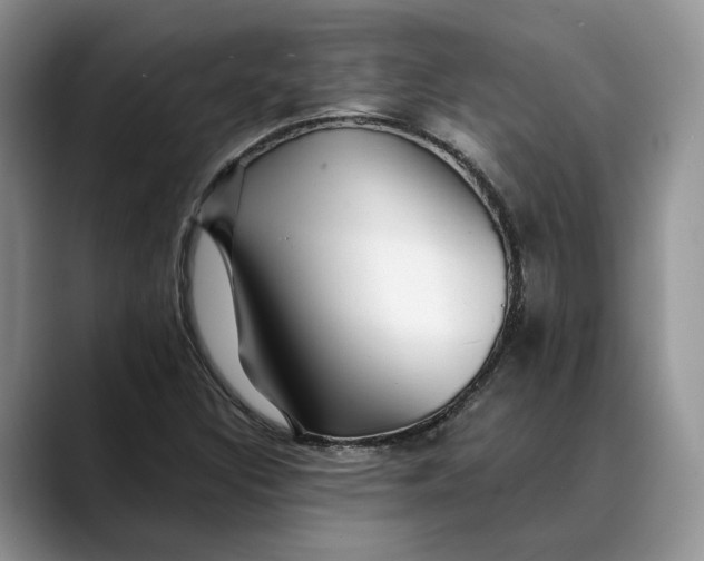 X0000088411308200706121407