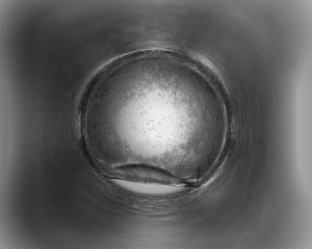 X0000088411310200706121407