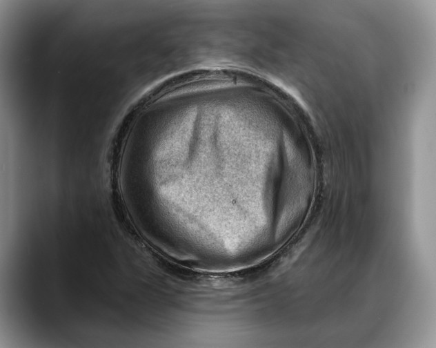 X0000088411311200706121407