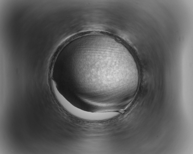 X0000088411312200706121407