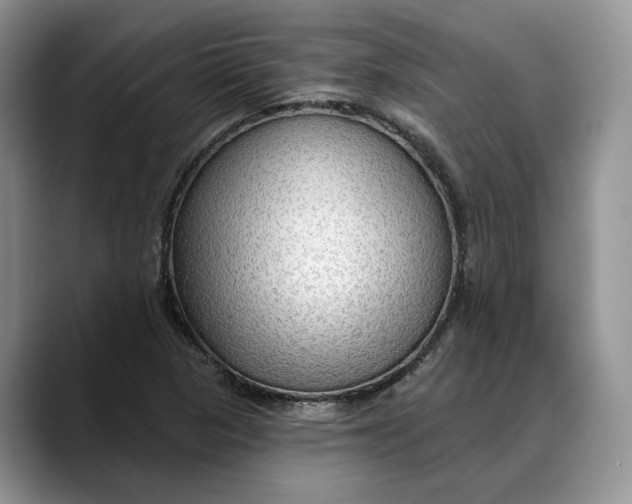 X0000088411313200706121407