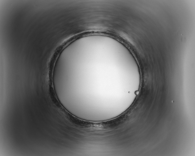 X0000088411315200706121407