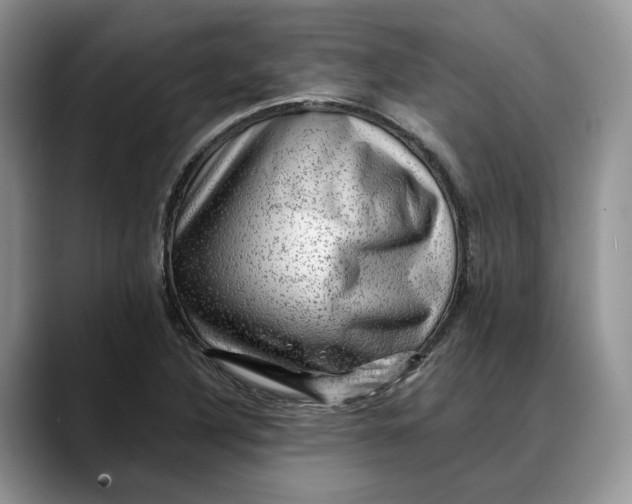 X0000088411316200706121407