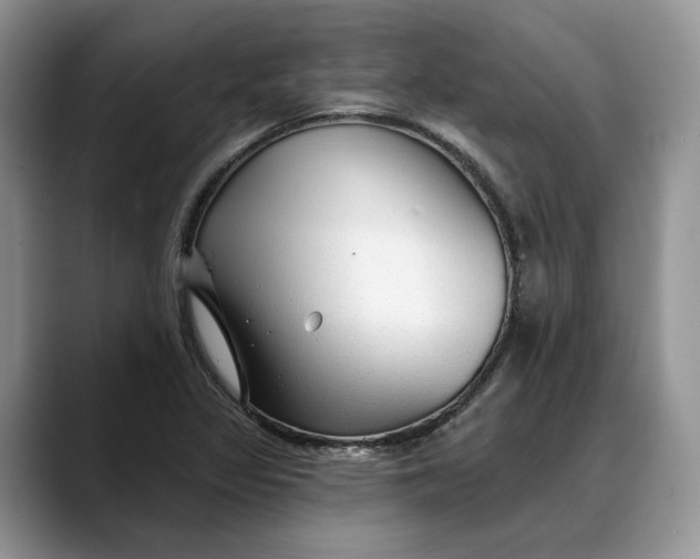 X0000088411317200706121407