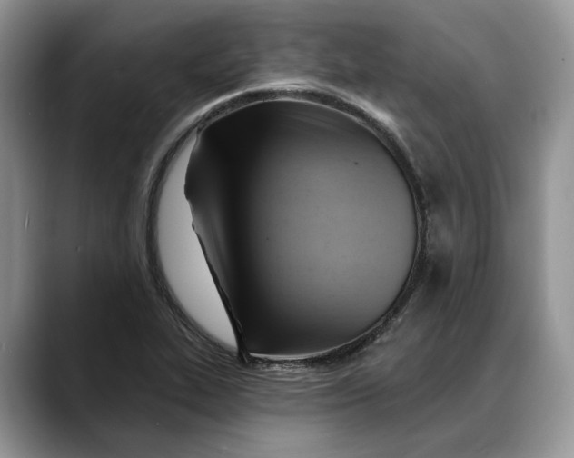 X0000088411319200706121407