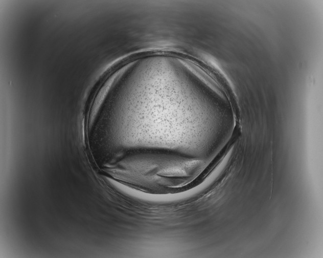 X0000088411320200706121407