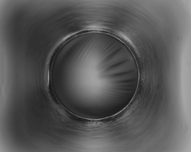 X0000088411323200706121407