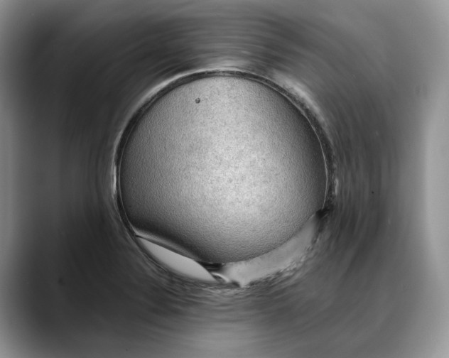 X0000088411324200706121407