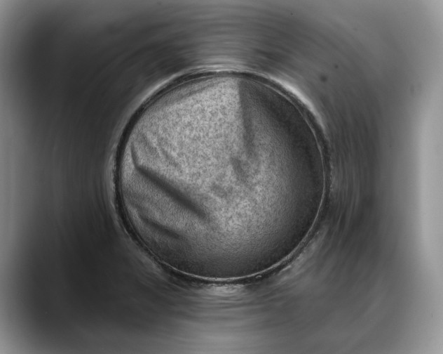 X0000088411325200706121407