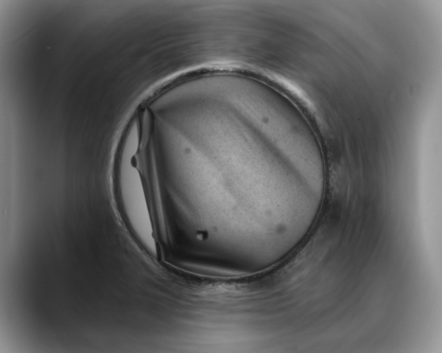 X0000088411327200706121407