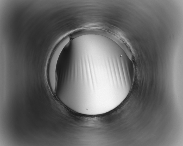 X0000088411328200706121407