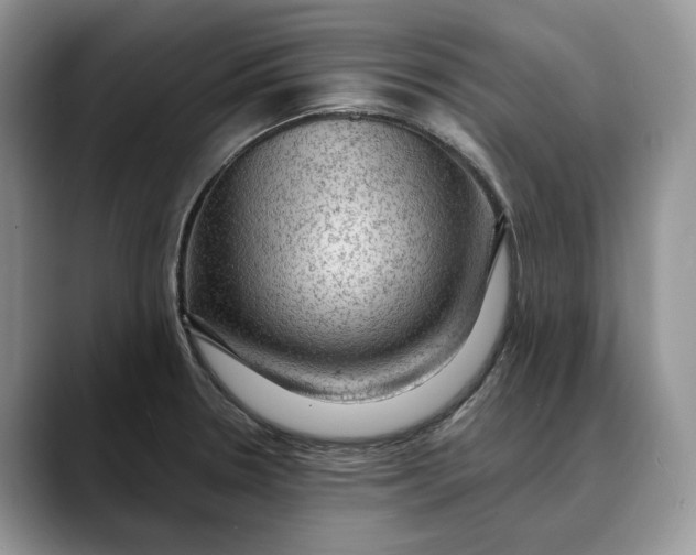 X0000088411330200706121407