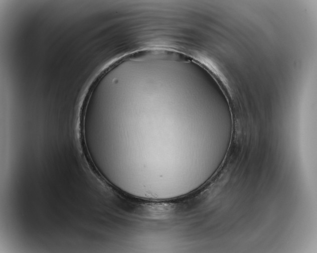 X0000088411331200706121407