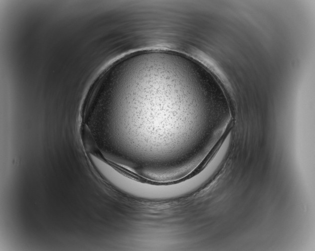 X0000088411332200706121407