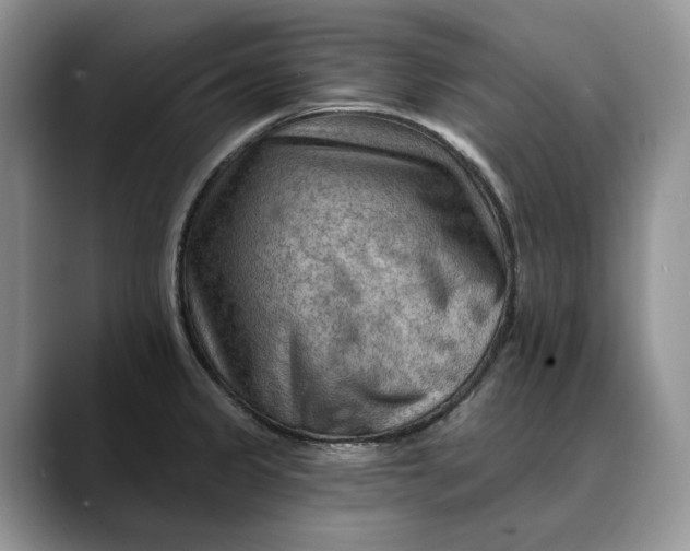 X0000088411333200706121407