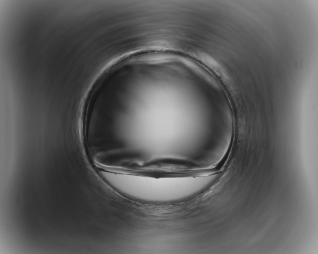 X0000088411334200706121407