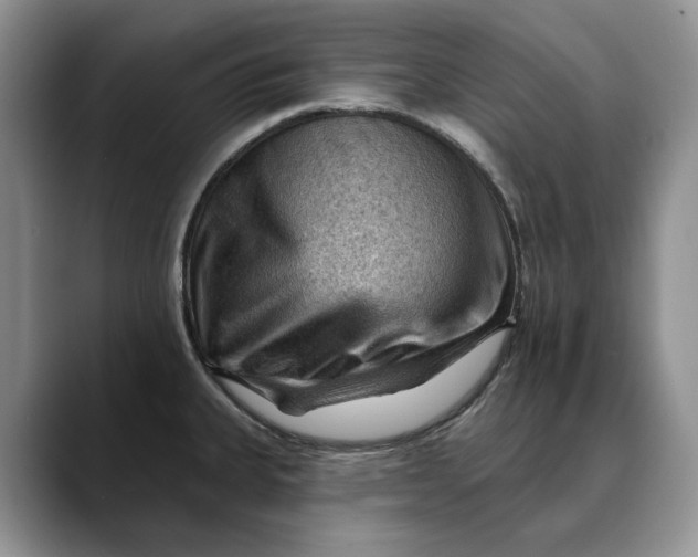 X0000088411335200706121407