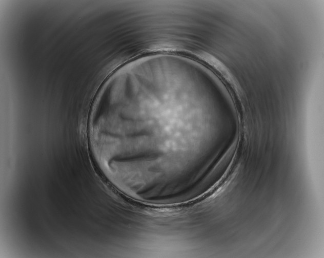 X0000088411337200706121407