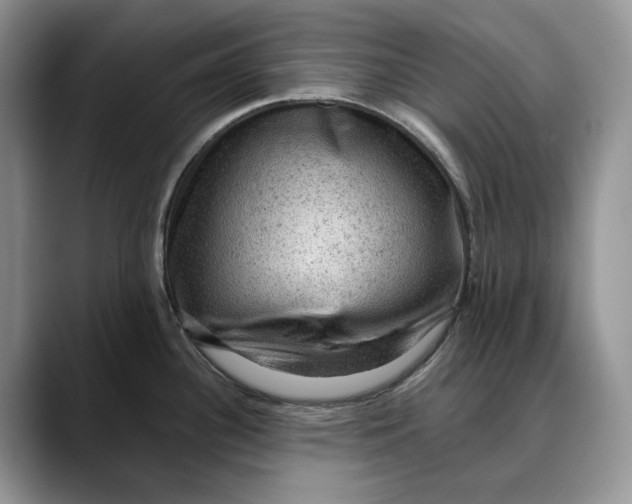 X0000088411340200706121407