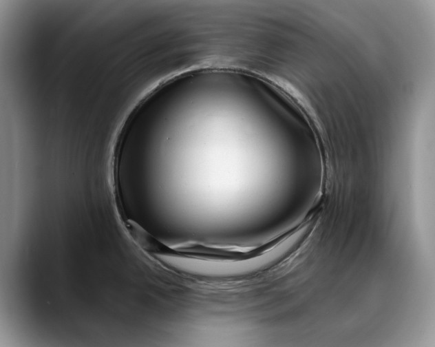 X0000088411342200706121407