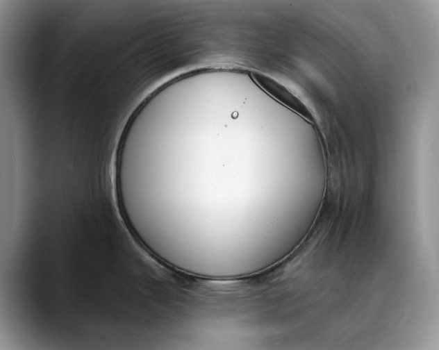 X0000088411343200706121407